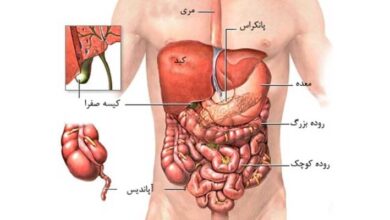 راه هایی برای حفظ سلامت گوارش