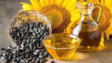 ارزش روغن های گیاهی از نظر غذایی و بهداشتی